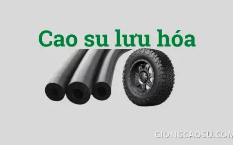 Cao su lưu hóa thành phẩm