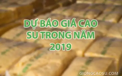 Dự báo giá cao su trong năm 2019