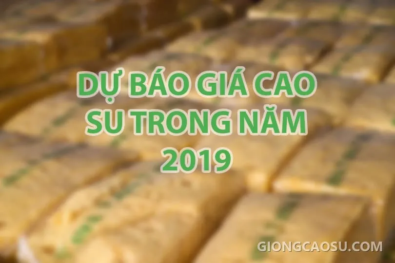 Dự báo giá cao su trong năm 2019