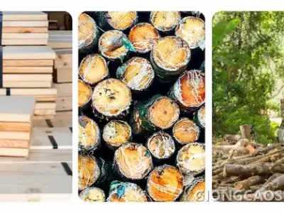 Gỗ cao su sau khi sơ chế
