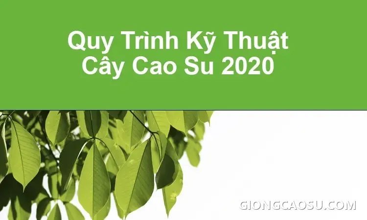 Hội nghị công bố Quy trình kỹ thuật cây cao su 2020 do Tập đoàn Công nghiệp Cao su Việt Nam tổ chức