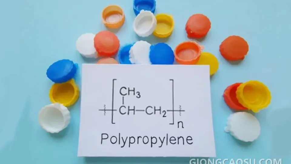 Sản phẩm nhựa PP (Polypropylene) trong đời sống