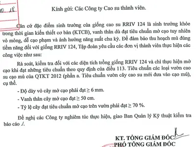 Bảng tiêu chuẩn yêu cầu mở cạo giống cao su RRIV 124