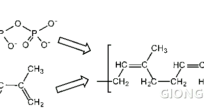 Sơ đồ cấu tạo hóa học của cao su (cis-1,4-polyisopren)