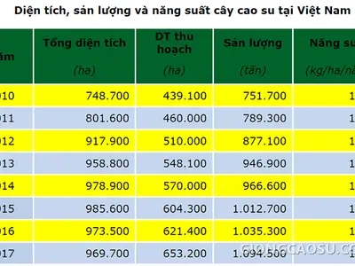 Diện tích, sản lượng và năng suất cây cao su tại Việt Nam