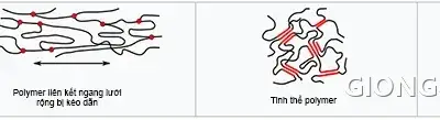 Mô hình cấu trúc polymer bị kéo dãn