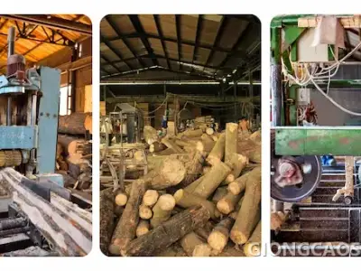 Sản xuất gỗ ghép cao su tại xưởng