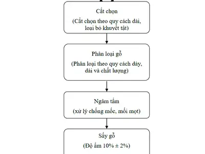 Sơ đồ quy trình sản xuất phôi gỗ cao su