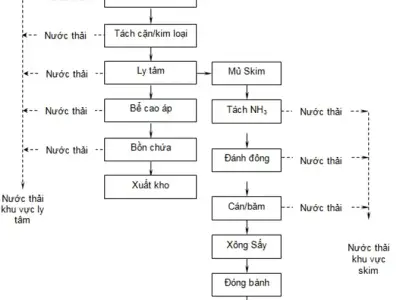 Sơ đồ chế biến Latex cao su thiên nhiên cô đặc