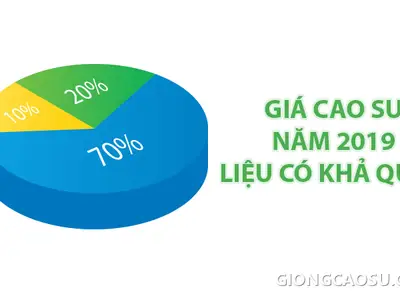 Giá cao su năm 2019 liệu có khả quan