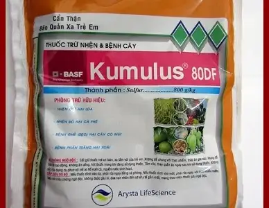 Bột lưu huỳnh hòa tan Kumulus 80WP dùng phòng trị bệnh phấn trắng