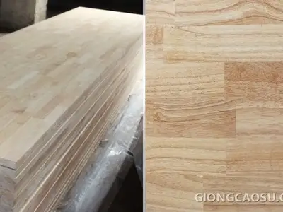 Gỗ cao su sau khi qua xử lý hóa lý